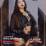 Anita Palomino 🇵🇪 (Candidata)